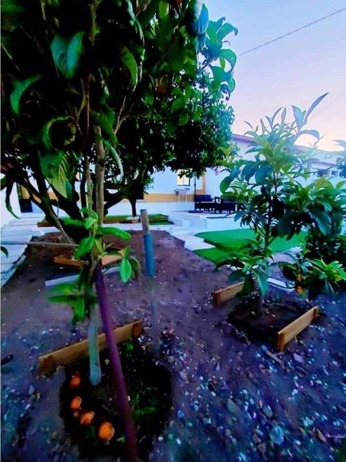 Vale Covo Casa Da Laranjeira别墅 外观 照片