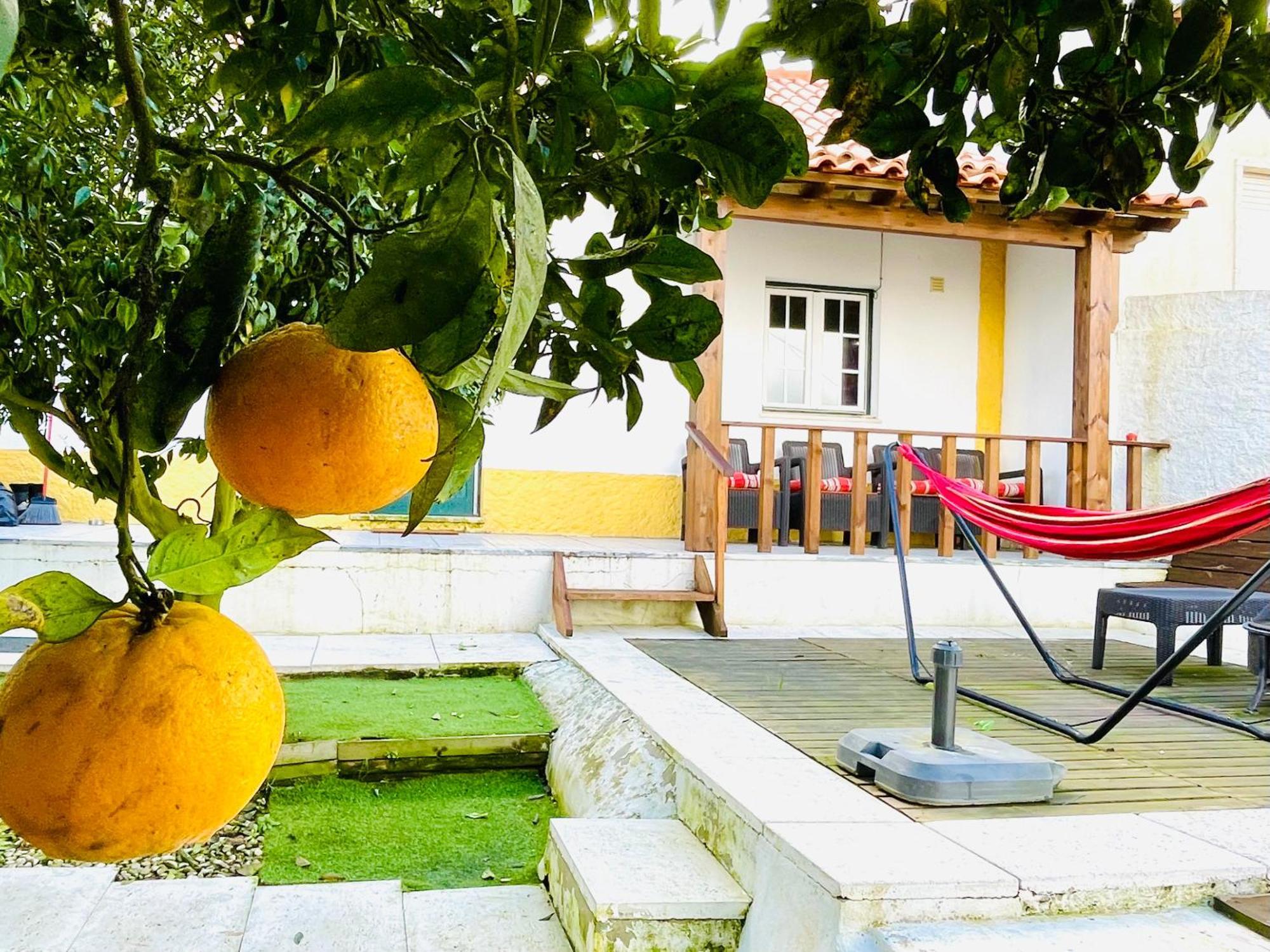 Vale Covo Casa Da Laranjeira别墅 外观 照片